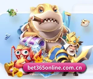 bet365体育的故事